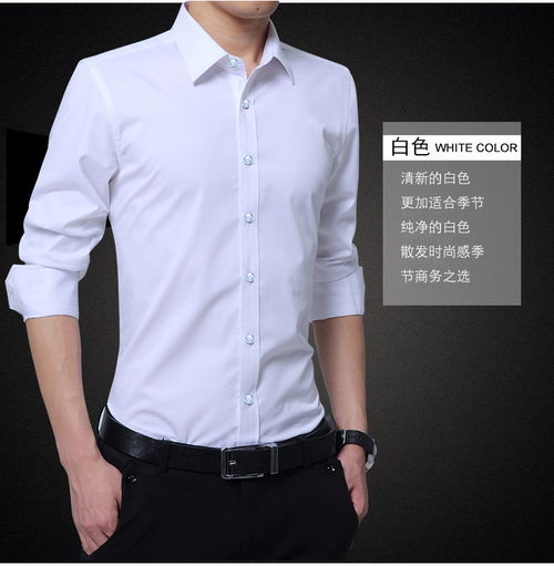 汤河之家 春季男式长袖衬衫商务休闲大码衬衣韩版青年修身衬衫时尚休闲男装